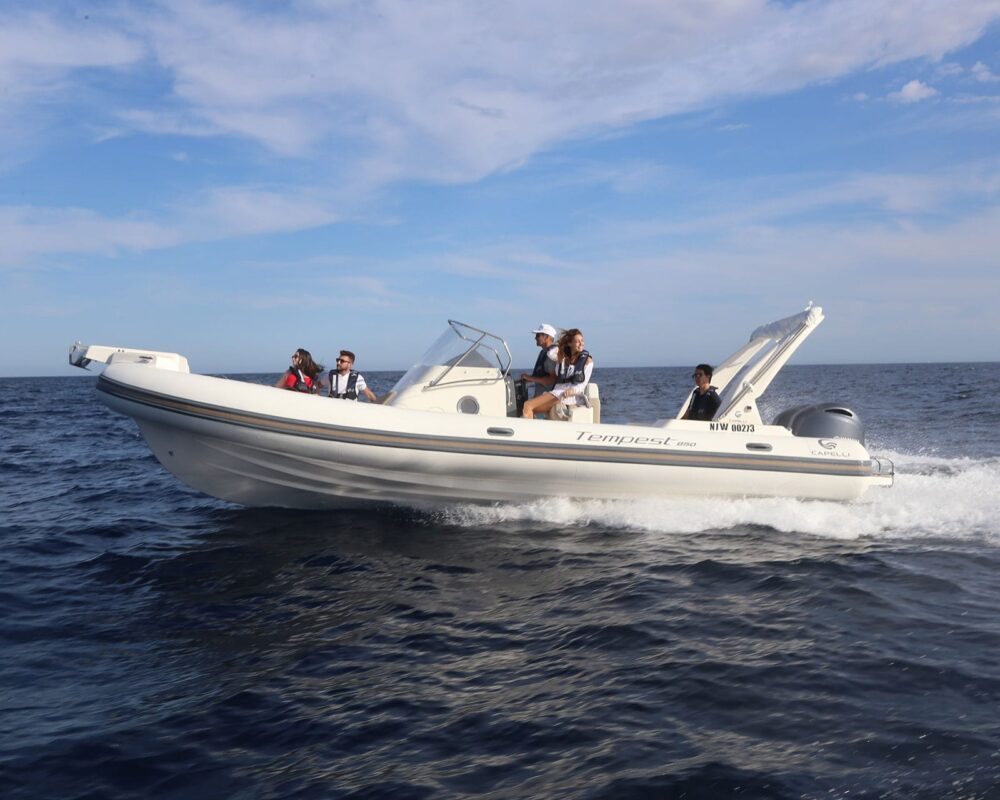 Capelli Tempest 850 OPEN Nautic Center Menorca