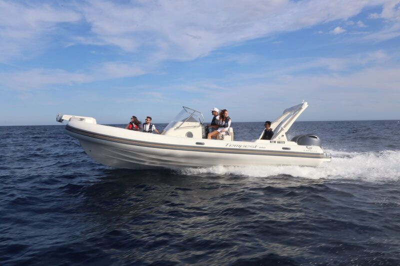 Capelli Tempest 850 OPEN Nautic Center Menorca