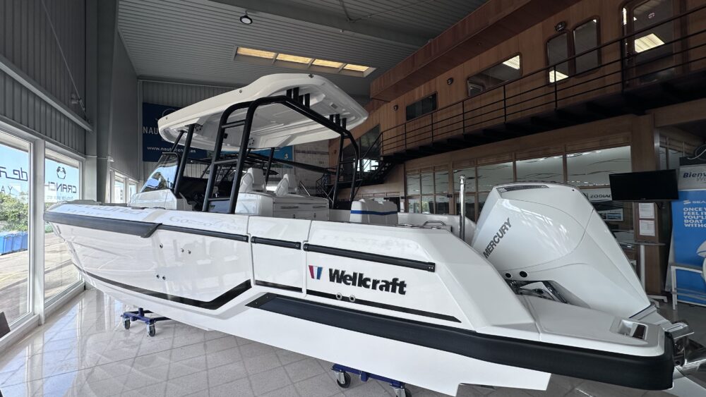 Wellcraft 28 T-Top