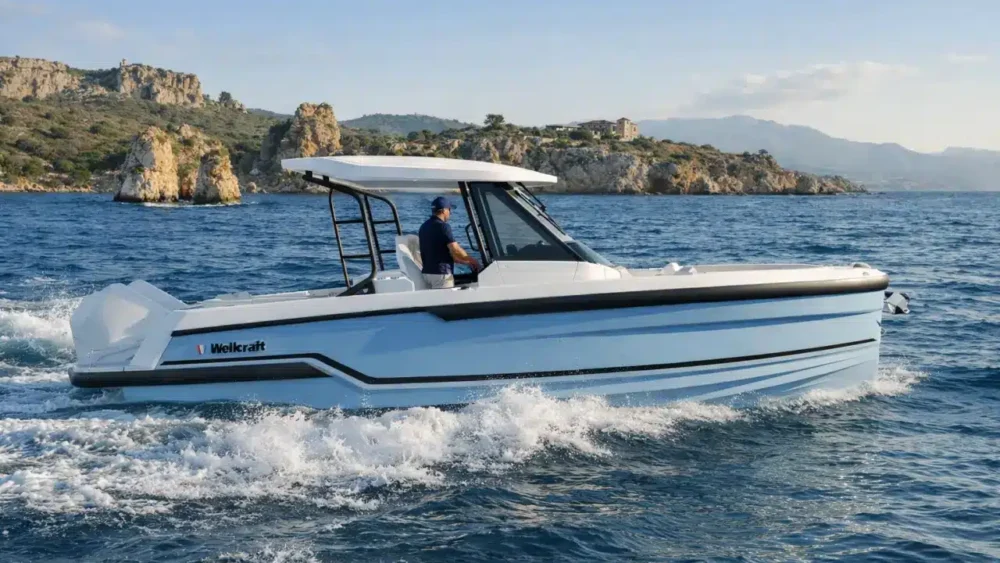 Wellcraft 28 T-Top