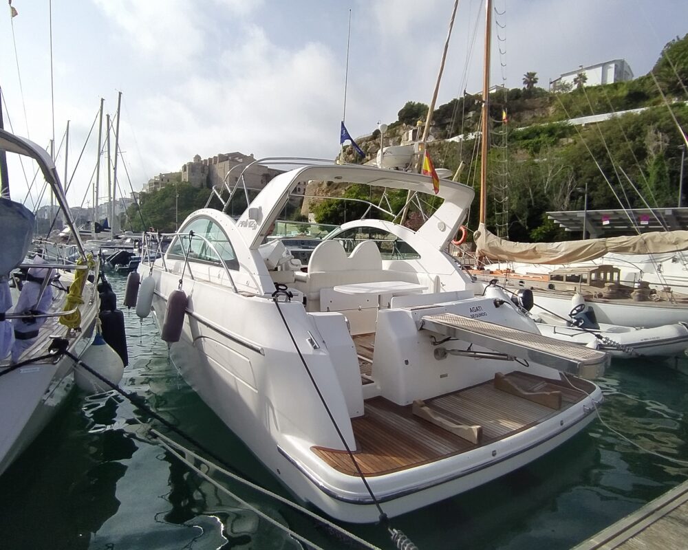 Prinz 36 Open