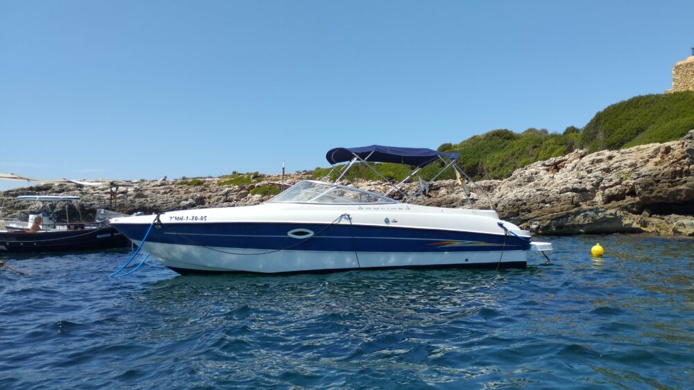Bayliner 249 SD